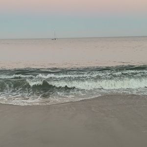 Meet your Posher, Riley